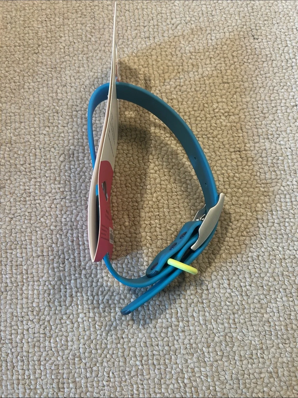NEW Wild One Hudson dog collar